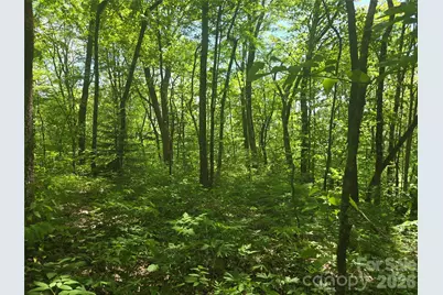 000 Greenspire Road, Sylva, NC 28779 - Photo 7