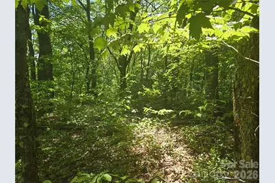000 Greenspire Road, Sylva, NC 28779 - Photo 11