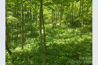000 Greenspire Road, Sylva, NC 28779 - Photo 9