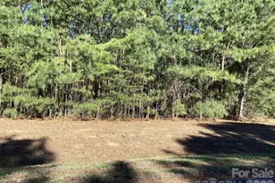 307 Twin Cove Dr, Connelly Springs, NC 28612 - Photo 1
