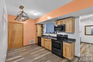 66 Misery Ridge None, Mill Spring, NC 28756 - Photo 21