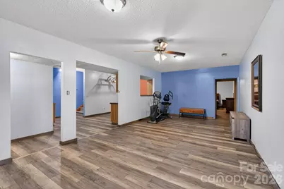 66 Misery Ridge None, Mill Spring, NC 28756 - Photo 27