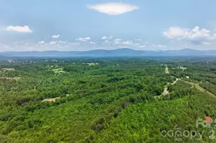 66 Misery Ridge None, Mill Spring, NC 28756 - Photo 37