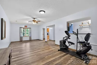 66 Misery Ridge None, Mill Spring, NC 28756 - Photo 25