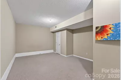 66 Misery Ridge None, Mill Spring, NC 28756 - Photo 31
