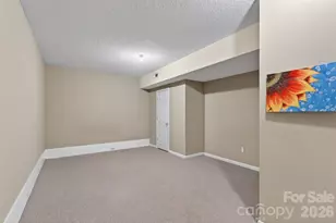 66 Misery Ridge None, Mill Spring, NC 28756 - Photo 31