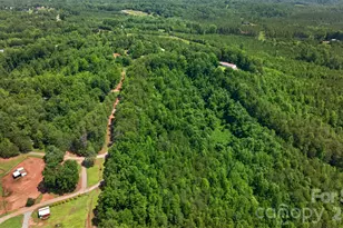 66 Misery Ridge None, Mill Spring, NC 28756 - Photo 39