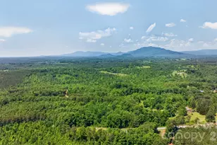 66 Misery Ridge None, Mill Spring, NC 28756 - Photo 35