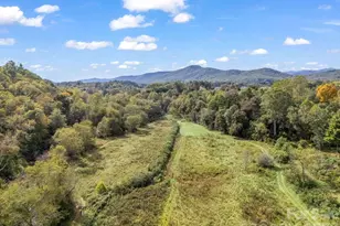 128 Cook Ln, Mills River, NC 28759 - Photo 41