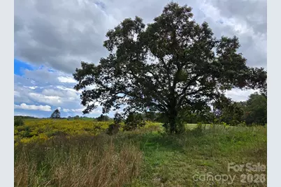 128 Cook Lane #(25 Acres), Mills River, NC 28759 - Photo 3