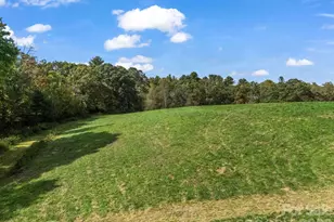128 Cook Ln, Mills River, NC 28759 - Photo 35