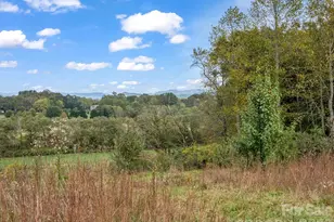 128 Cook Ln, Mills River, NC 28759 - Photo 43