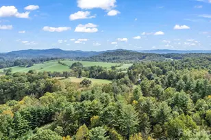 128 Cook Ln, Mills River, NC 28759 - Photo 39