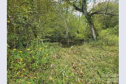 128 Cook Lane #(25 Acres), Mills River, NC 28759 - Photo 27