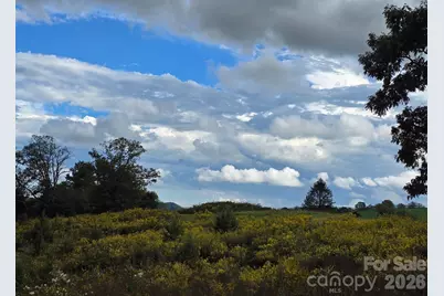 128 Cook Lane #(25 Acres), Mills River, NC 28759 - Photo 33
