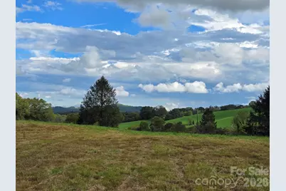 128 Cook Lane #(25 Acres), Mills River, NC 28759 - Photo 25
