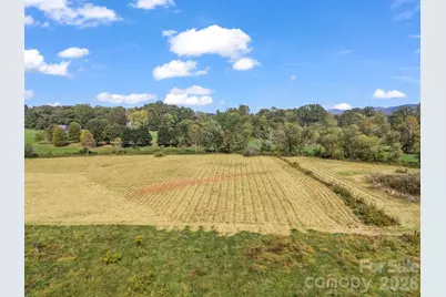 128 Cook Lane #(25 Acres), Mills River, NC 28759 - Photo 39