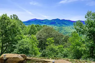 483 Birdie Ln, Bakersville, NC 28705 - Photo 41