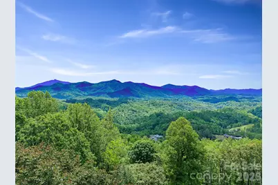 483 Birdie Lane, Bakersville, NC 28705 - Photo 47