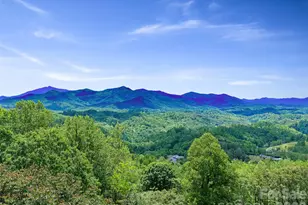 483 Birdie Ln, Bakersville, NC 28705 - Photo 47