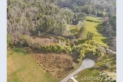 425 Nelson Valley Lane, Hendersonville, NC 28739 - Photo 3