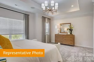 4236 Ruth Crk Ct, Charlotte, NC 28216 - Photo 11