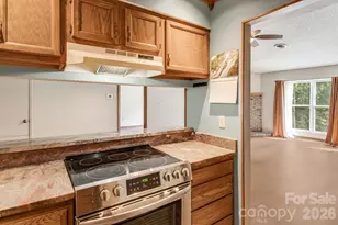 60 Ravencroft Ln, Asheville, NC 28803 - Photo 23