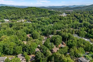 60 Ravencroft Ln, Asheville, NC 28803 - Photo 41