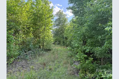 Tbd Murray Manor Road, Rockingham, NC 28379 - Photo 13