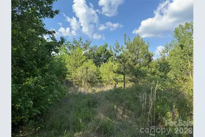 Tbd Murray Manor Road, Rockingham, NC 28379 - Photo 15
