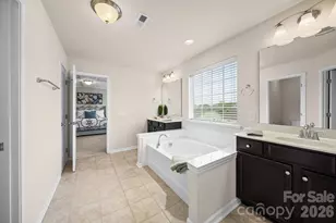 17516 Austins Creek Dr, Charlotte, NC 28278 - Photo 23