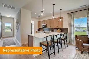 4231 Ruth Crk Ct, Charlotte, NC 28216 - Photo 5