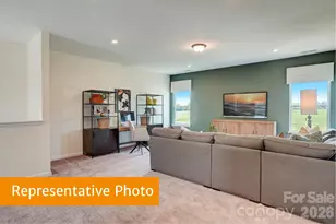 4231 Ruth Crk Ct, Charlotte, NC 28216 - Photo 21