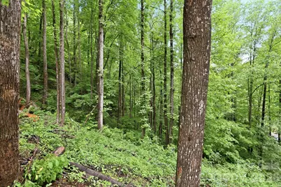 182 Saw Branch Road, Candler, NC 28715 - Photo 35