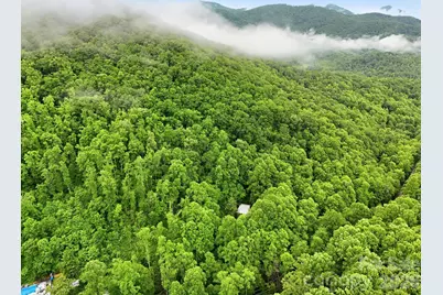 182 Saw Branch Road, Candler, NC 28715 - Photo 37