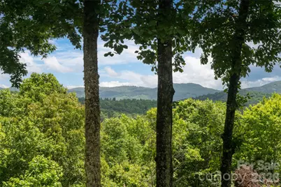 305 Piney Knoll Lane, Hendersonville, NC 28739 - Photo 25