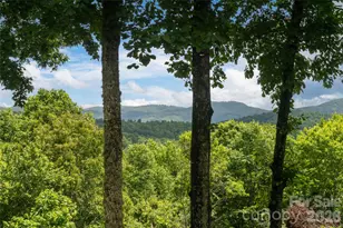 305 Piney Knoll Ln, Hendersonville, NC 28739 - Photo 25