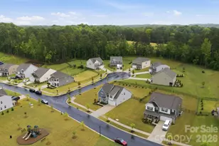 234 Hamptons Cove Rd, Troutman, NC 28166 - Photo 27