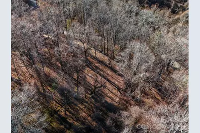 58 & 64 Flora Rose Trail #6A & 6B, Asheville, NC 28803 - Photo 5