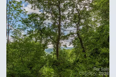 58 & 64 Flora Rose Trail #6A & 6B, Asheville, NC 28803 - Photo 29