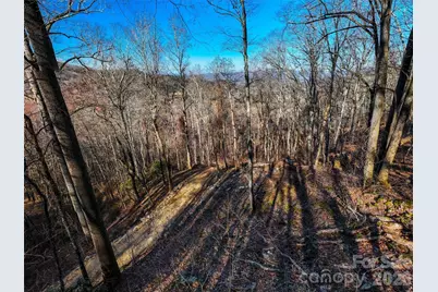 58 & 64 Flora Rose Trail #6A & 6B, Asheville, NC 28803 - Photo 15
