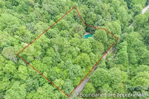 4105 Pickens Hwy, Rosman, NC 28772 - Photo 47