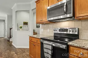 12826 Rusty Blackbird Wy, Charlotte, NC 28278 - Photo 11