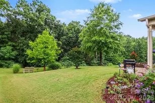 12826 Rusty Blackbird Wy, Charlotte, NC 28278 - Photo 31