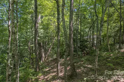 00 Woodlyn Etch Drive, Hendersonville, NC 28792 - Photo 9