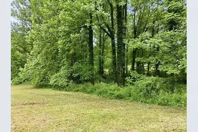 Tbd Tract C Pole Miller Extension #Tract C, Brevard, NC 28712 - Photo 7