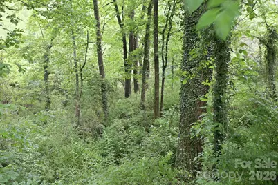 Tbd Tract C Pole Miller Extension #Tract C, Brevard, NC 28712 - Photo 25