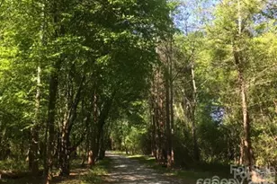 6010 Jack Thomas Dr, Indian Land, SC 29707 - Photo 43