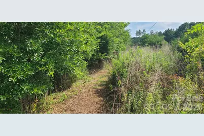 0000 Blackwelder Road, Indian Land, SC 29707 - Photo 3