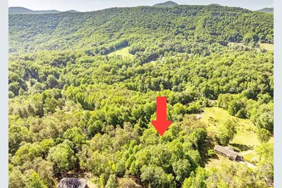 99999 Suddreth Lane, Candler, NC 28715 - Photo 3